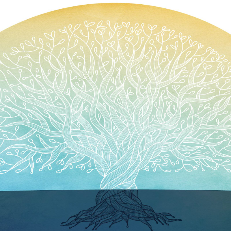 Rooted in Decency Book published by LoveWell Press